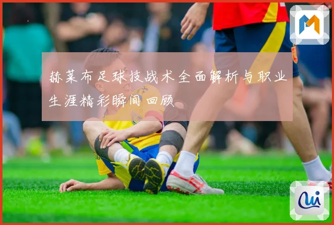 赫莱布足球技战术全面解析与职业生涯精彩瞬间回顾