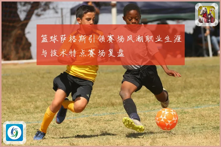 篮球萨格斯引领赛场风潮职业生涯与技术特点赛场复盘