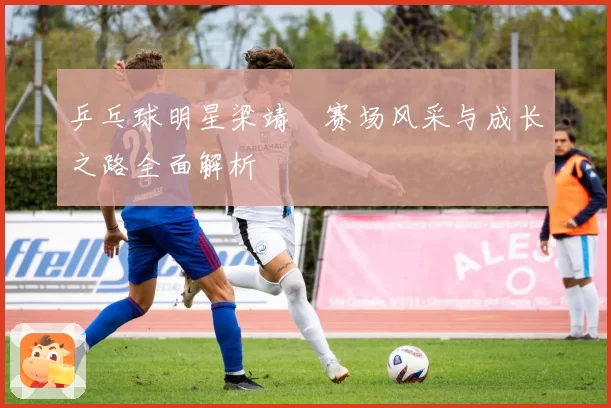 乒乓球明星梁靖崑赛场风采与成长之路全面解析