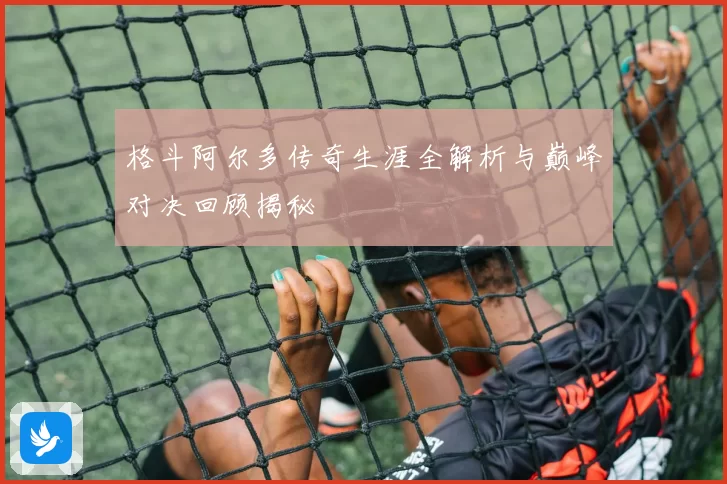格斗阿尔多传奇生涯全解析与巅峰对决回顾揭秘