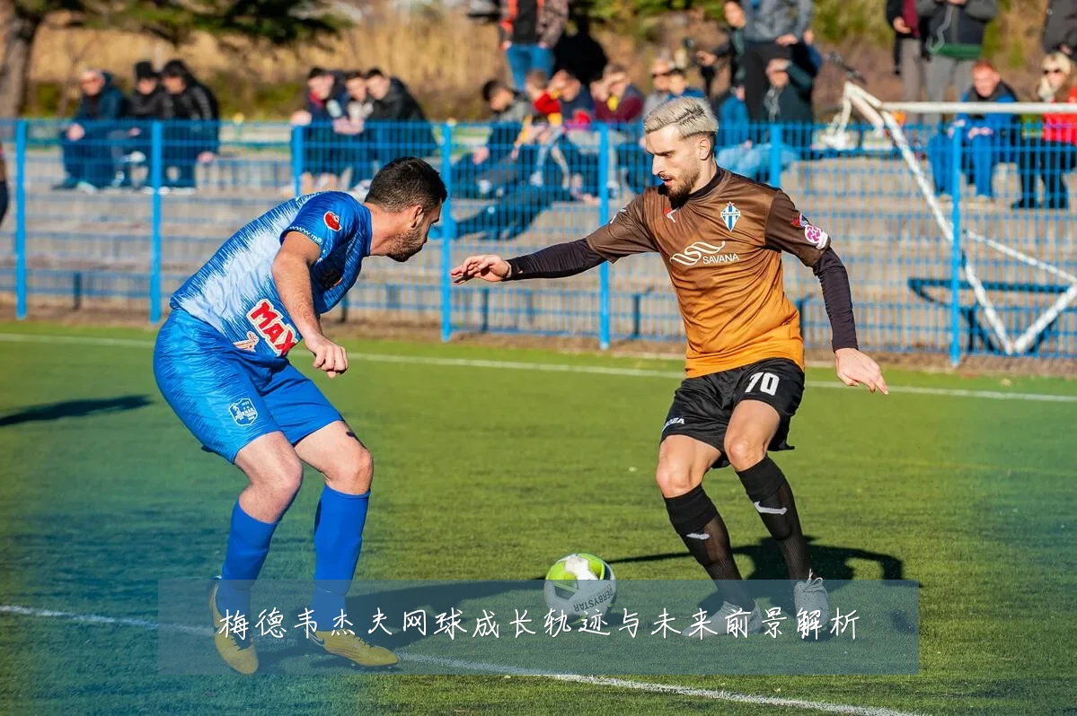 梅德韦杰夫网球成长轨迹与未来前景解析